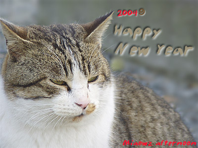 04newyearcat