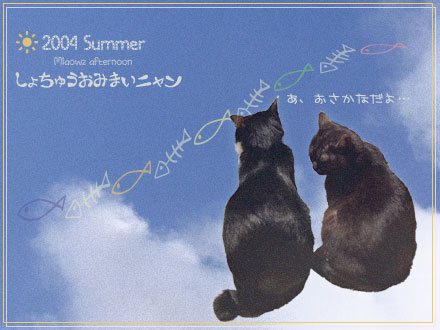 04summercat